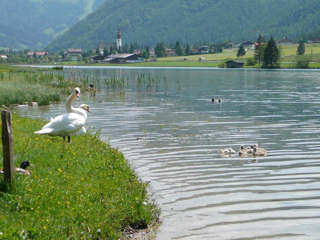 Appartement Pillersee Sankt Ulrich am Pillersee Luaran gambar